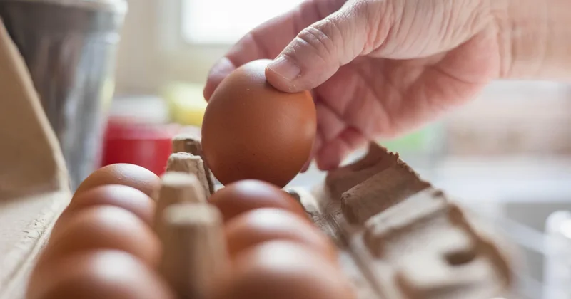 1.6 million eggs are recalled over potential salmonella contamination