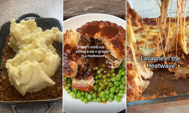 Cooling down with cottage pie! Britons are reaching for winter comfort foods like stews, pies and curries despite heatwaves amid 'feta fatigue'