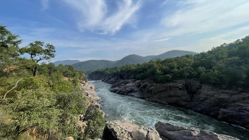 Cauvery committee chief asks T.N., Karnataka to come up with distress-sharing formula