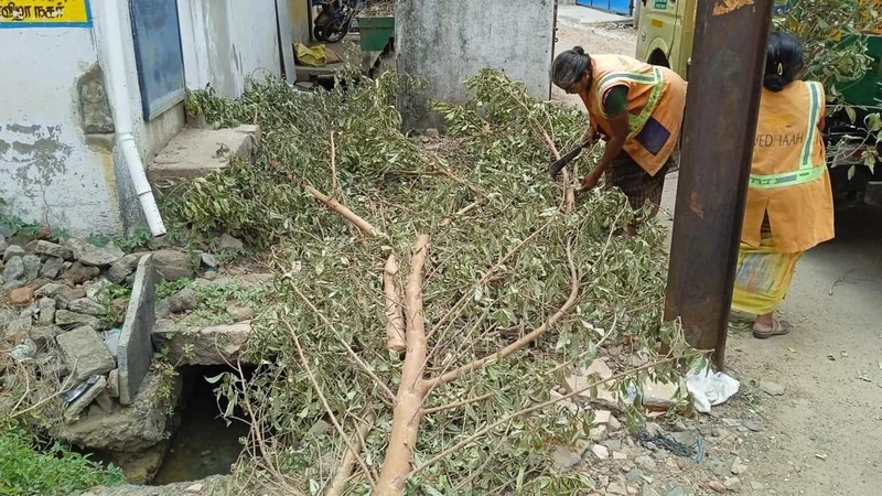 Dumping of garden waste on the roadside increasing in Tiruchi, residents blame erratic clearance by civic body