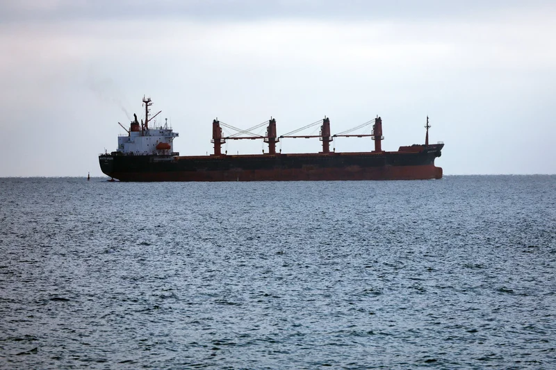 Ukraine attacks risk grain exports, global food security: Russian lobby