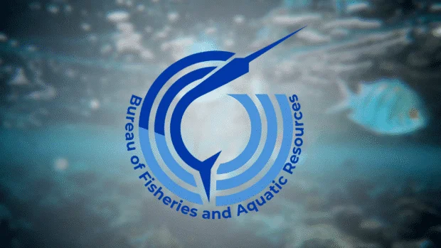 Shellfish ban stays in Samar, Eastern Samar, Biliran due to red tide