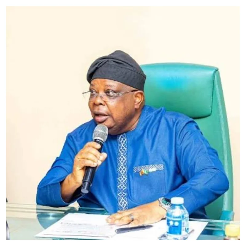 No plans to increase electricity tariffs – Power Minister tells Nigerians
