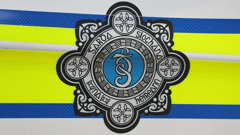 Body of a man found at recycling facility in Dublin