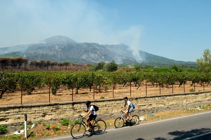 Should you cancel your Italian holiday due to wildfires?