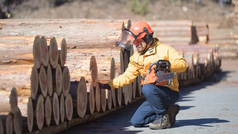 A Third of Serious Workplace Injuries in Japan Involve Workers Over 60
