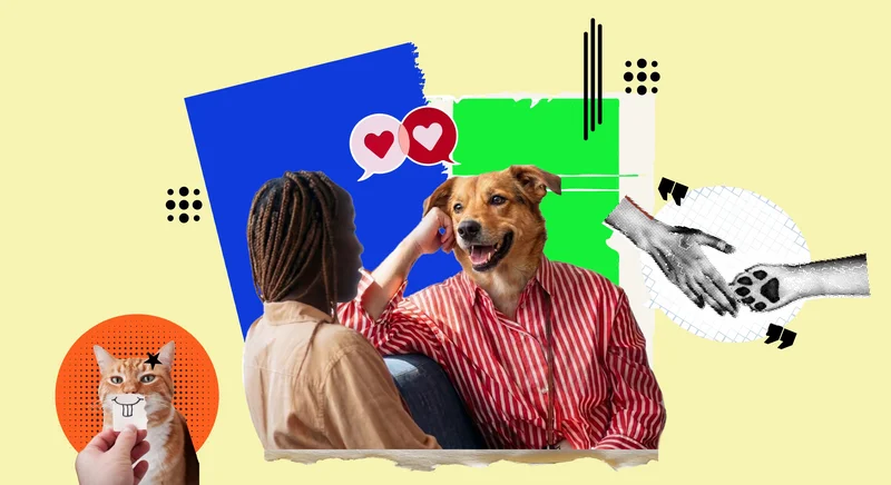 What our love for pets says about human relationships