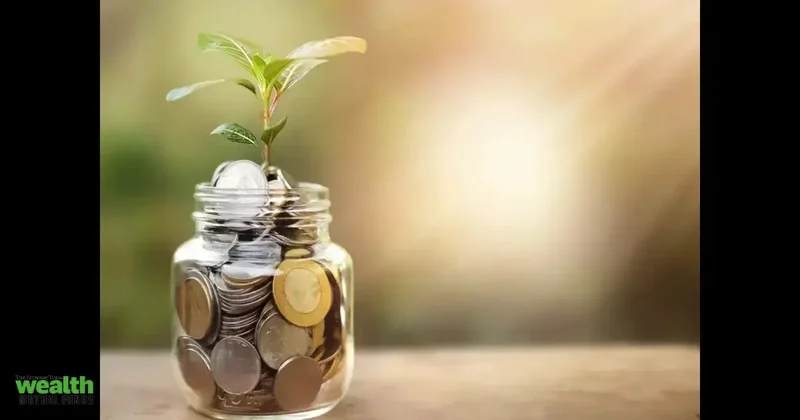 Scheme selection key as mutual fund returns vary widely across categories