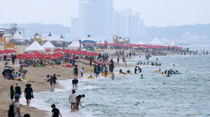 Shark sightings off east coast nearly quadruple as waters warm