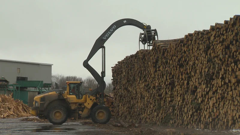 New U.S. tariffs could devastate some New Brunswick communities, small businesses