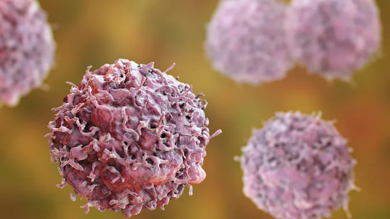Fresh data backs Amplia push against pancreatic, ovarian cancer