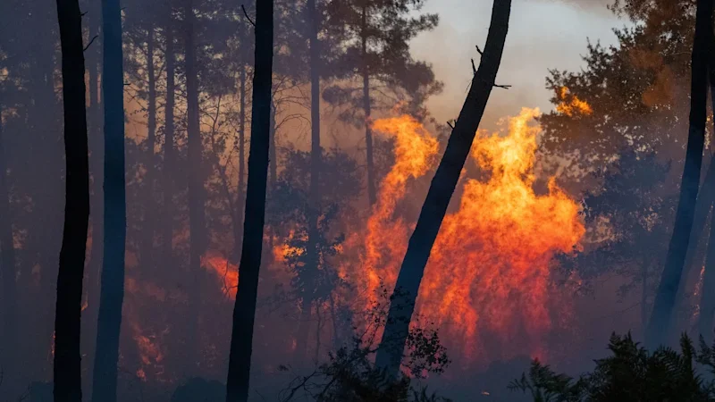 Tens of thousands forced to flee French holiday spots as fires spread across Europe