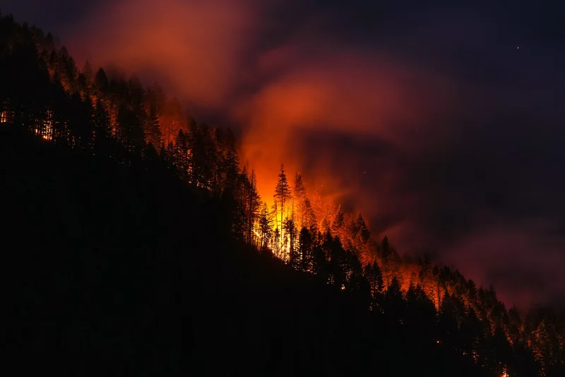 Cold front, gusty winds increase wildfire risks across B.C.