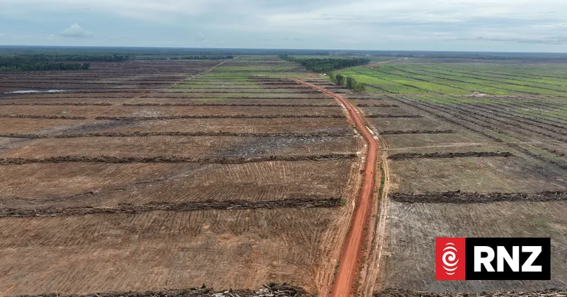 Human Rights Watch report says Indonesia is silencing environmental activists in Papua