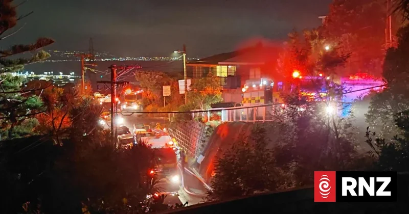 Firefighters battle house fire in Wellington suburb