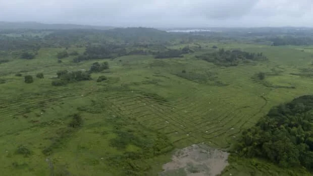 Agri workers’ group warn Pax Silica could worsen land, labor issues