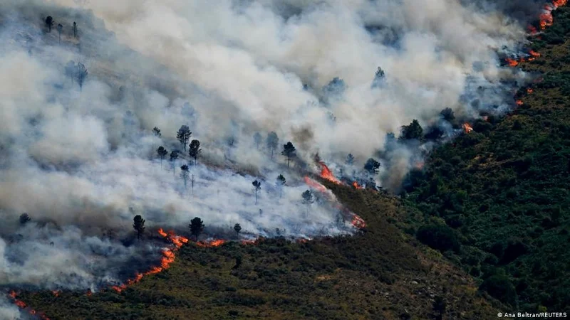 Wildfires in Europe force tens of thousands to evacuate