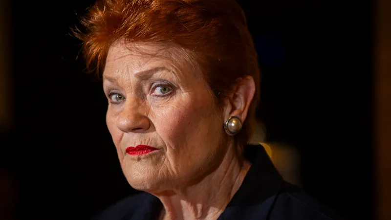One Nation at risk of losing legal status in Queensland over financial records