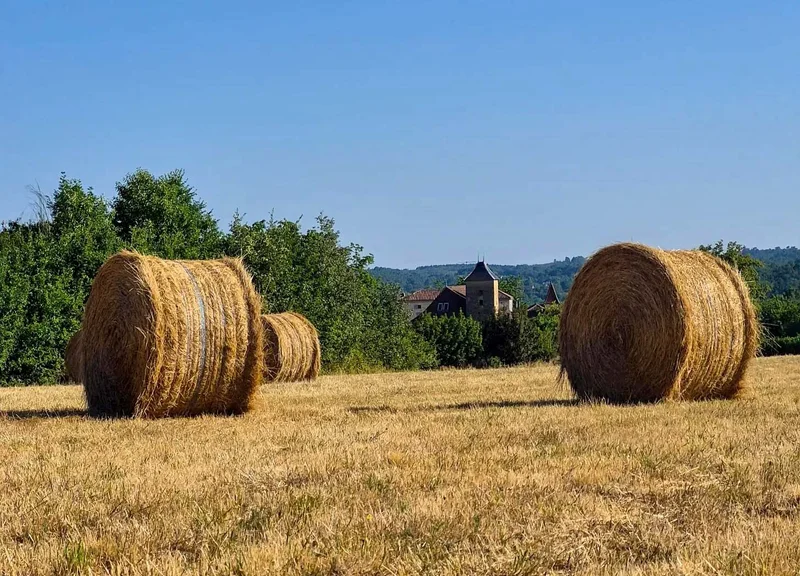 FRENCH LETTER: Summertime and the living ain’t (always) easy in sweltering France