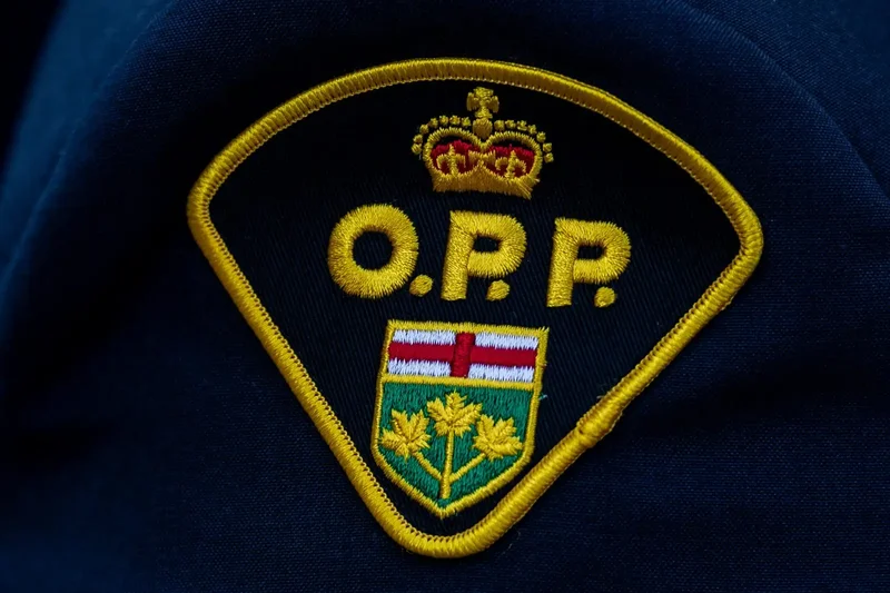 ‘Infuriating’: Cat dies after being thrown from moving vehicle, OPP say