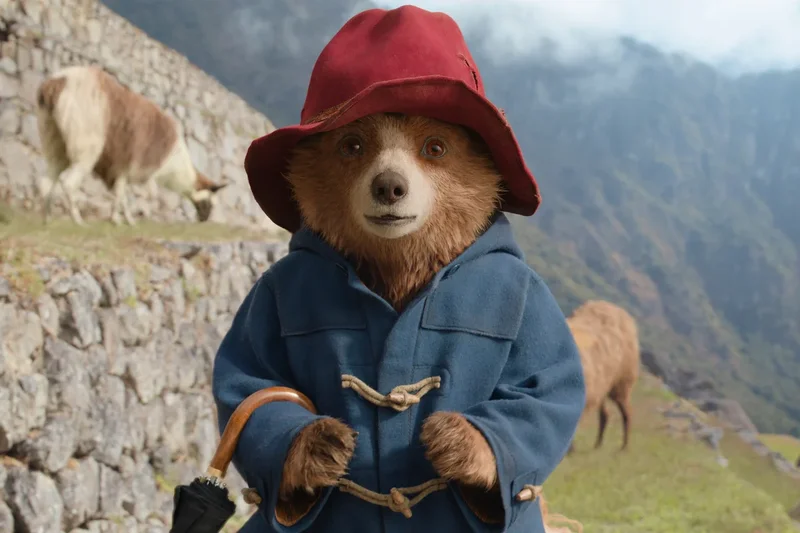 Paddington 4 film confirmed for development by studio with ‘A-list cast’