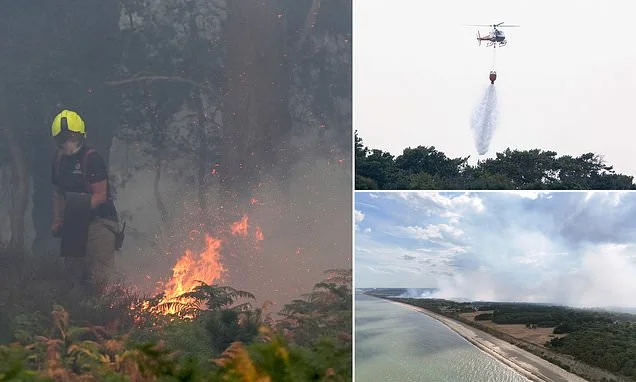 Suffolk wildfire burns for third day as firefighters douse homes in water and drop thousands of litres of seawater from helicopters - as experts warn 'area could take 25 years to recover'