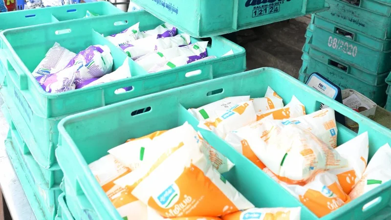Fix minimum and maximum prices for milk, industry appeals to T.N. government