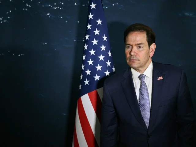 Rubio, Wang discuss cooperation ahead of Xi US visit