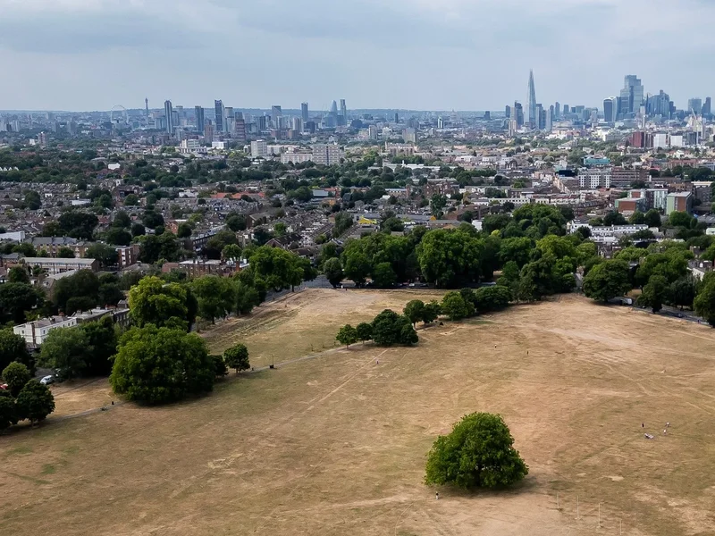 Drought declared for half of England – find out if your area is affected