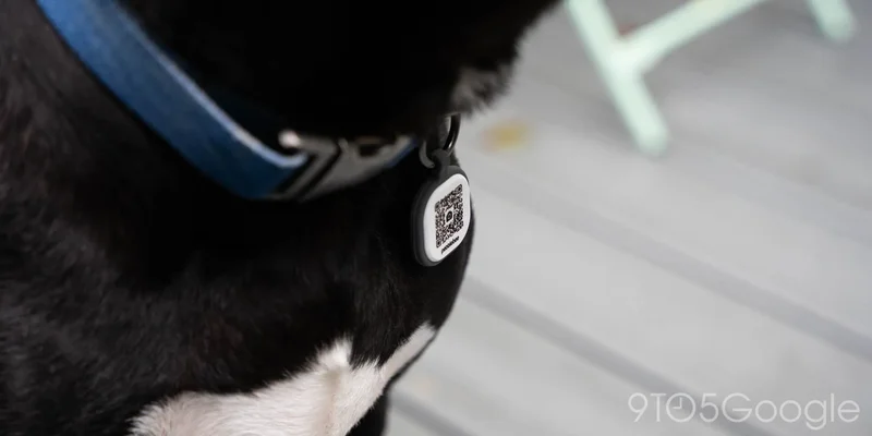 Pebblebee launches bag tags and pet collar IDs to go with your Find Hub trackers
