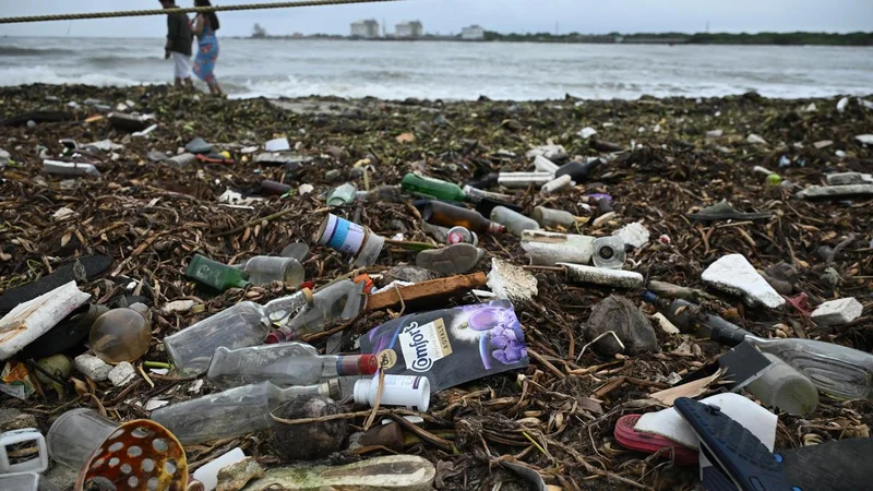NGT not satisfied with LSGD’s report on pollution impacting coastline of Fort Kochi in Kerala