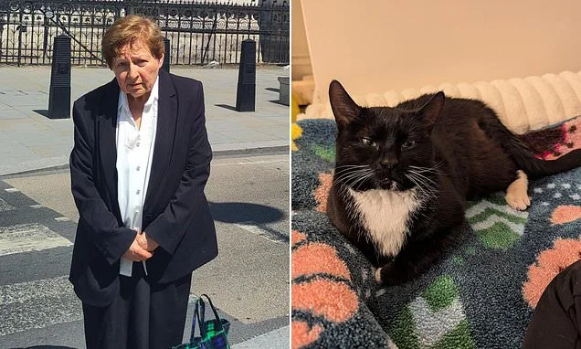 Former solicitor sues RSPCA as she demands it returns body of her disabled cat which died in foster care after being 'rescued' from her in police raid