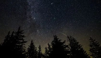 Keep an Eye Out for Two Stellar Meteor Showers Peaking This Week, the Southern Delta Aquariids and the Alpha Capricornids