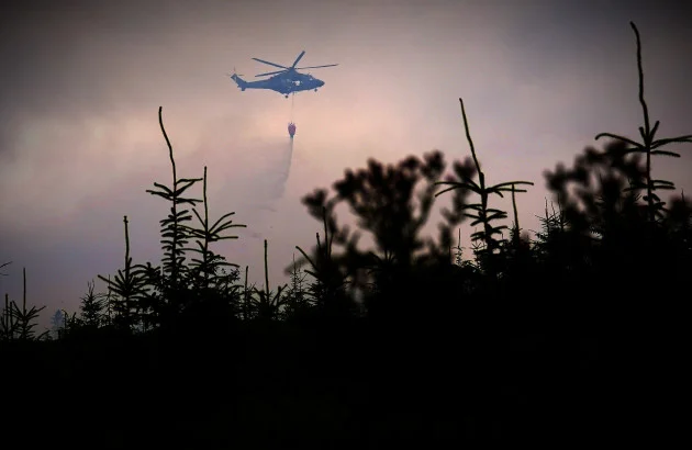 Could nature itself help stop Ireland's wildfires?