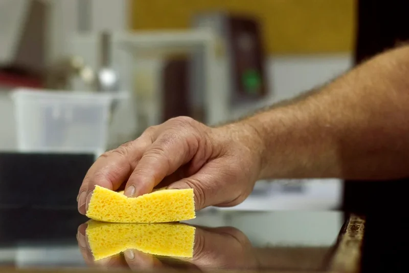 The harmful bugs silently growing in this common kitchen item