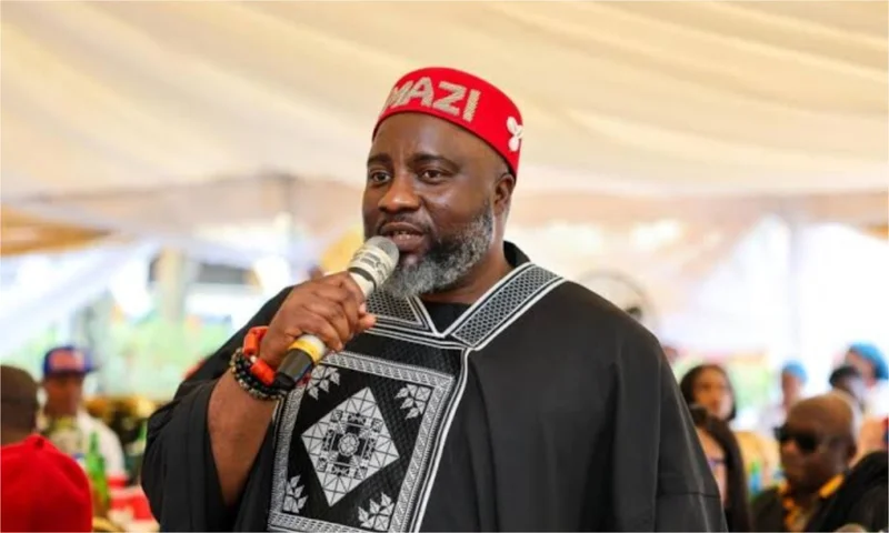 Appeal Court judgement saved Nigeria’s democracy – APP chieftain, Amadi
