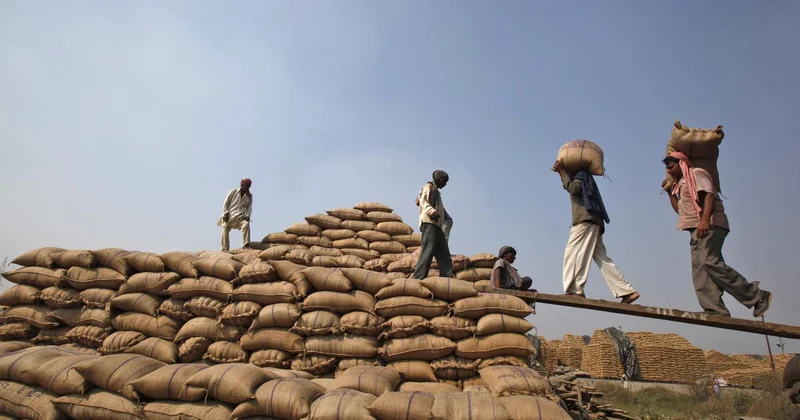 Food corporation sold rice to ethanol plants at lower price than it paid for the grain: Centre