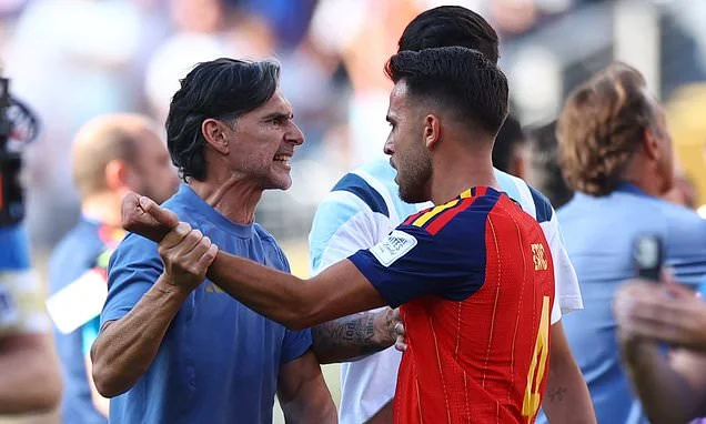 Argentina assistant coach explains reason behind Dani Olmo 'punch' in ugly post-World Cup final scenes - as he insists 'it was more of a push'