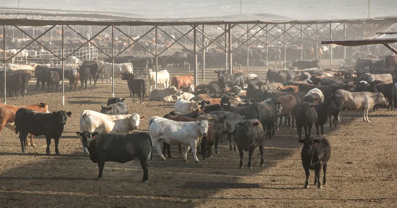 Trump administration rejects UN farm declaration over gender references