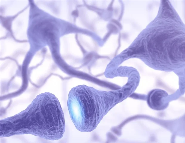 Slow-maturing microglia may enable powerful human cognitive abilities