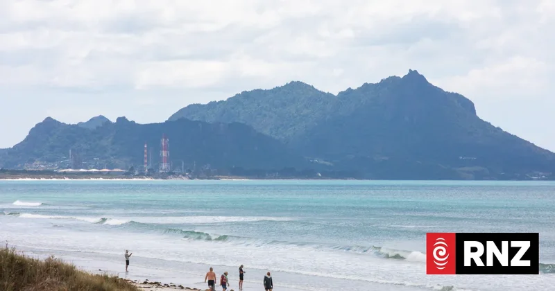 Commercial fishing could be banned in parts of Northland under mātaitai reserve plan