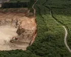 Campaigners rail against ‘plundering’ of ancient Kent woodland to make way for quarry expansion