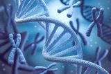 Ghost DNA in Living Humans Reveals Two Unknown Ancient Human Lineages