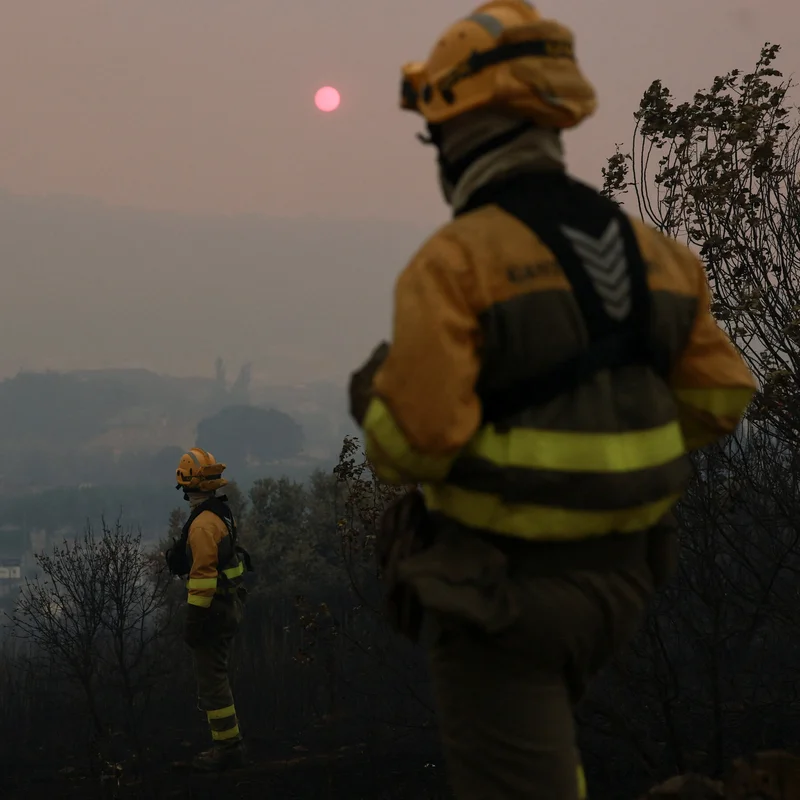 Conditions for European Wildfires Created by Summer of Extremes