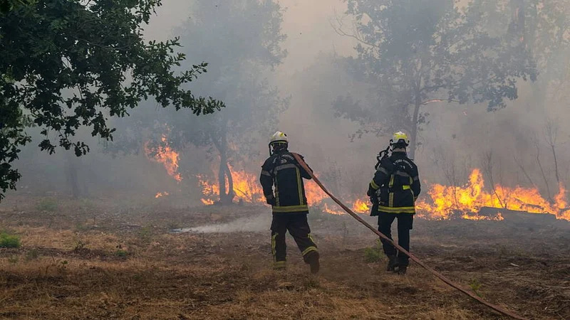 Wildfire forces evacuations of suburbs in French city of Bordeaux