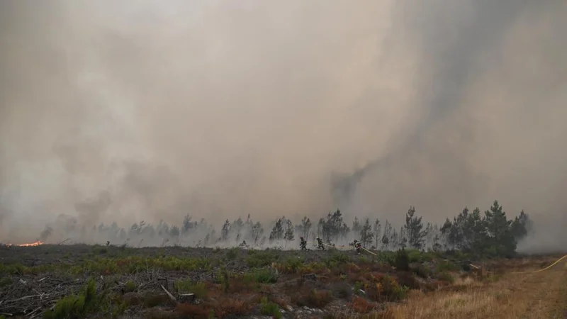 Wildfires: The ominous 'fire clouds' observed in France for the first time