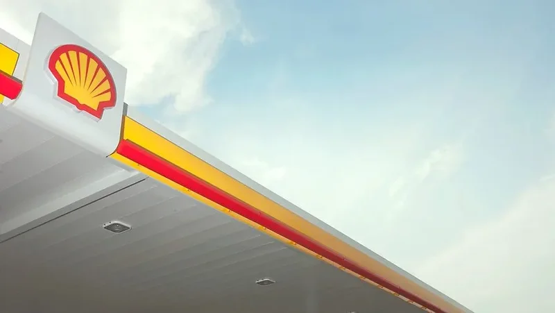 Shell documents reveal ‘basket’ pipeline, missing wells, $10.9 billion clean-up liability in Niger Delta – Report
