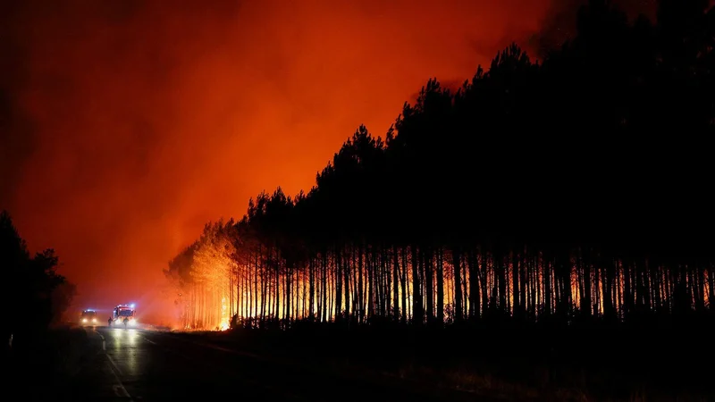 Nature in the crossfire of climate inaction and wars