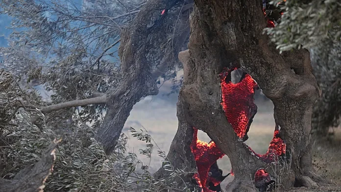 Crete wildfire kills two firefighters as fierce flames spread in Greece