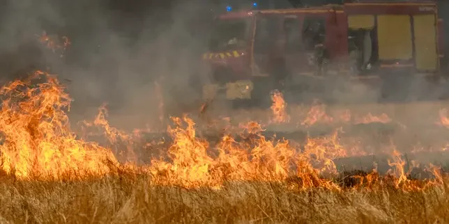 How firefighters and volunteers supported by water planes imposed a major setback to the Gironde fire as it was about to swallow more homes